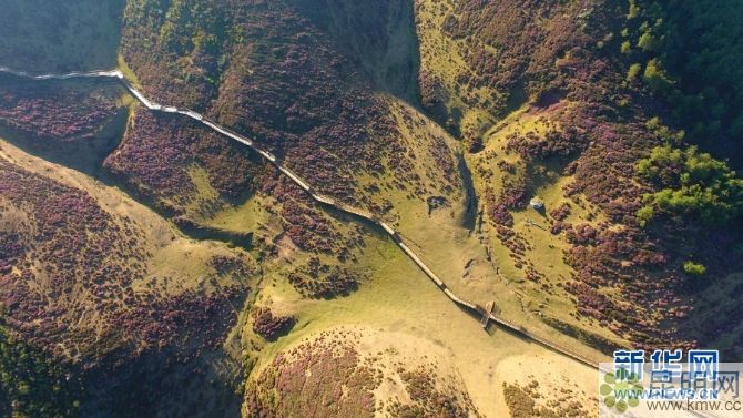 138042772_15572934713821n 138042772_15572934713821n