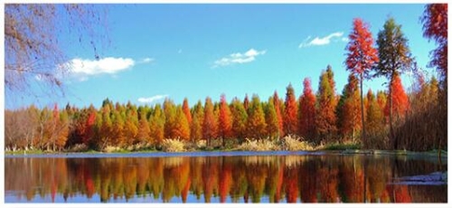 QQ�؈D20200119164017