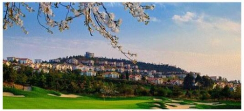 QQ�؈D20200119171342