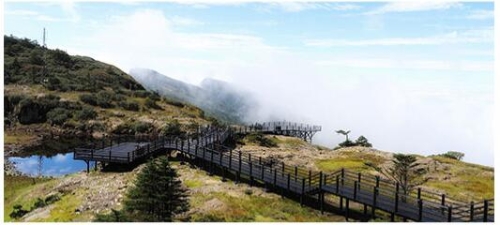 QQ�؈D20200119171352