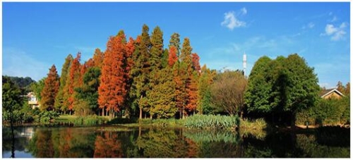 QQ�؈D20200119163901