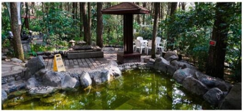 QQ�؈D20200120143005