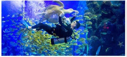 QQ�؈D20200119174054