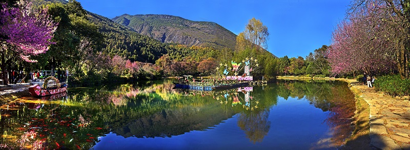 蝴蝶泉(4A)-大理旅游